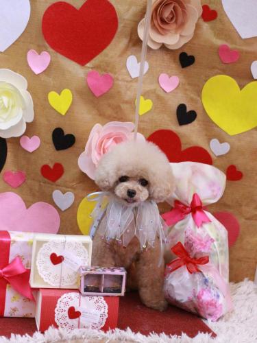 20230217ティナくん